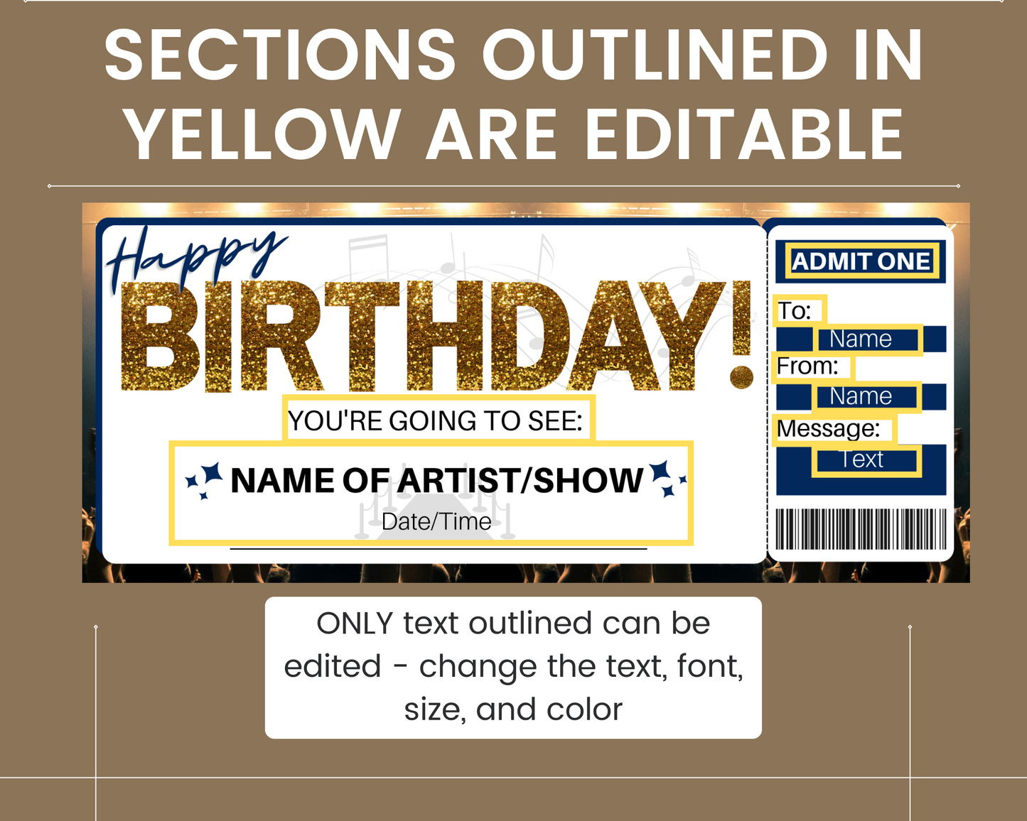 Happy Birthday Concert Ticket Template
