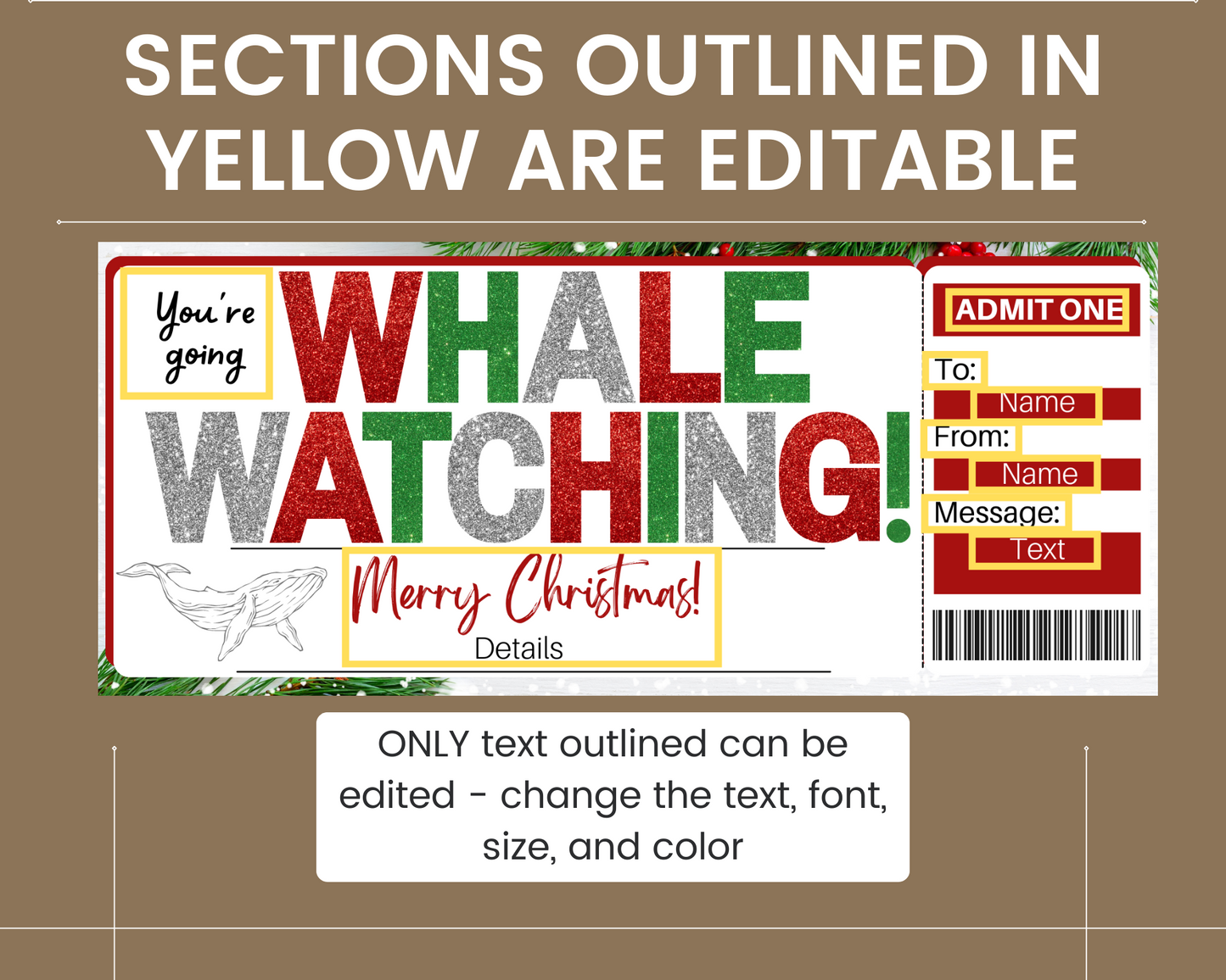 Christmas Whale Watching Gift Ticket Template
