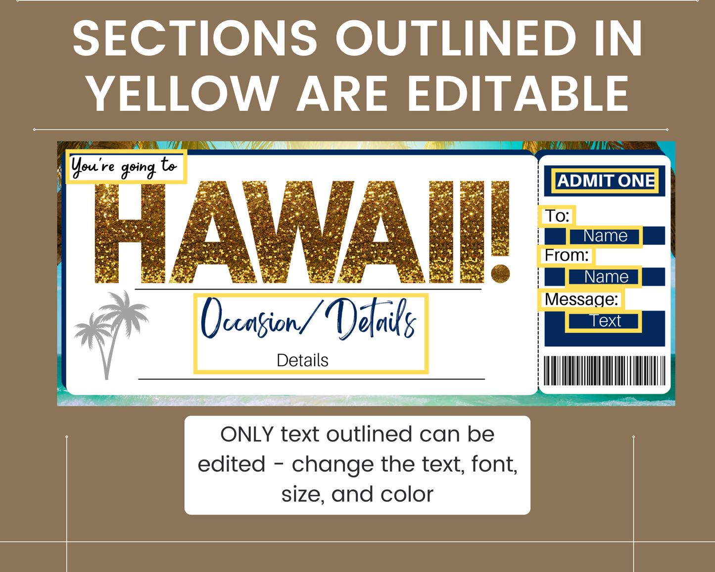 Hawaii Boarding Pass Template