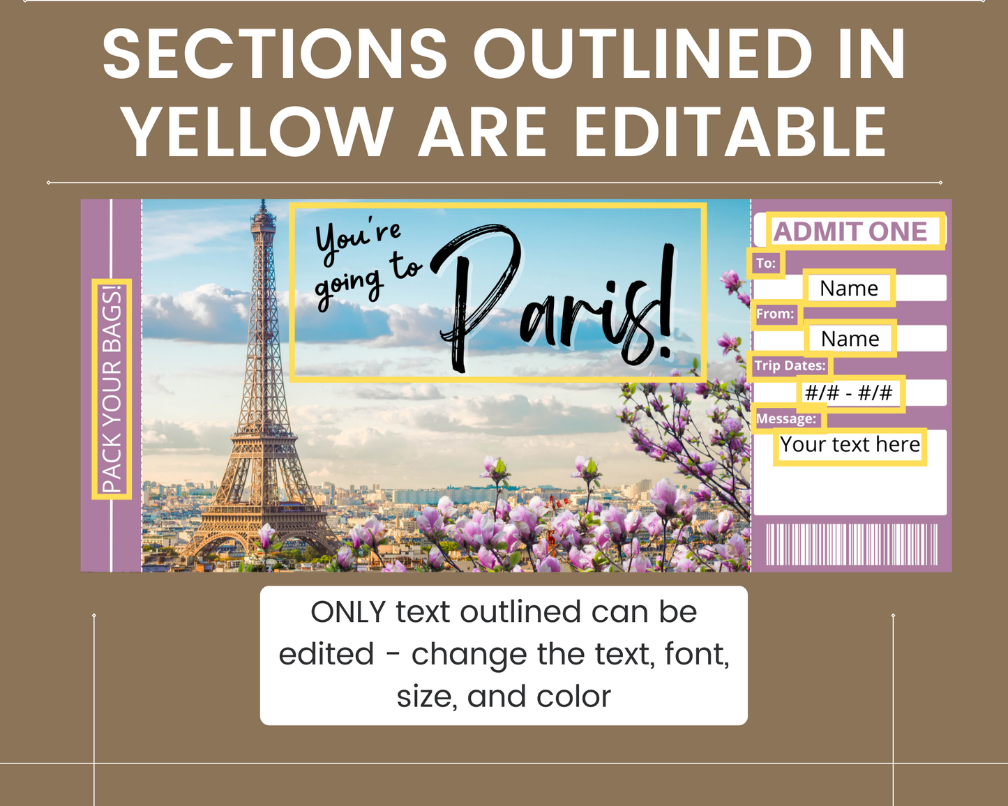 Paris Boarding Pass Template