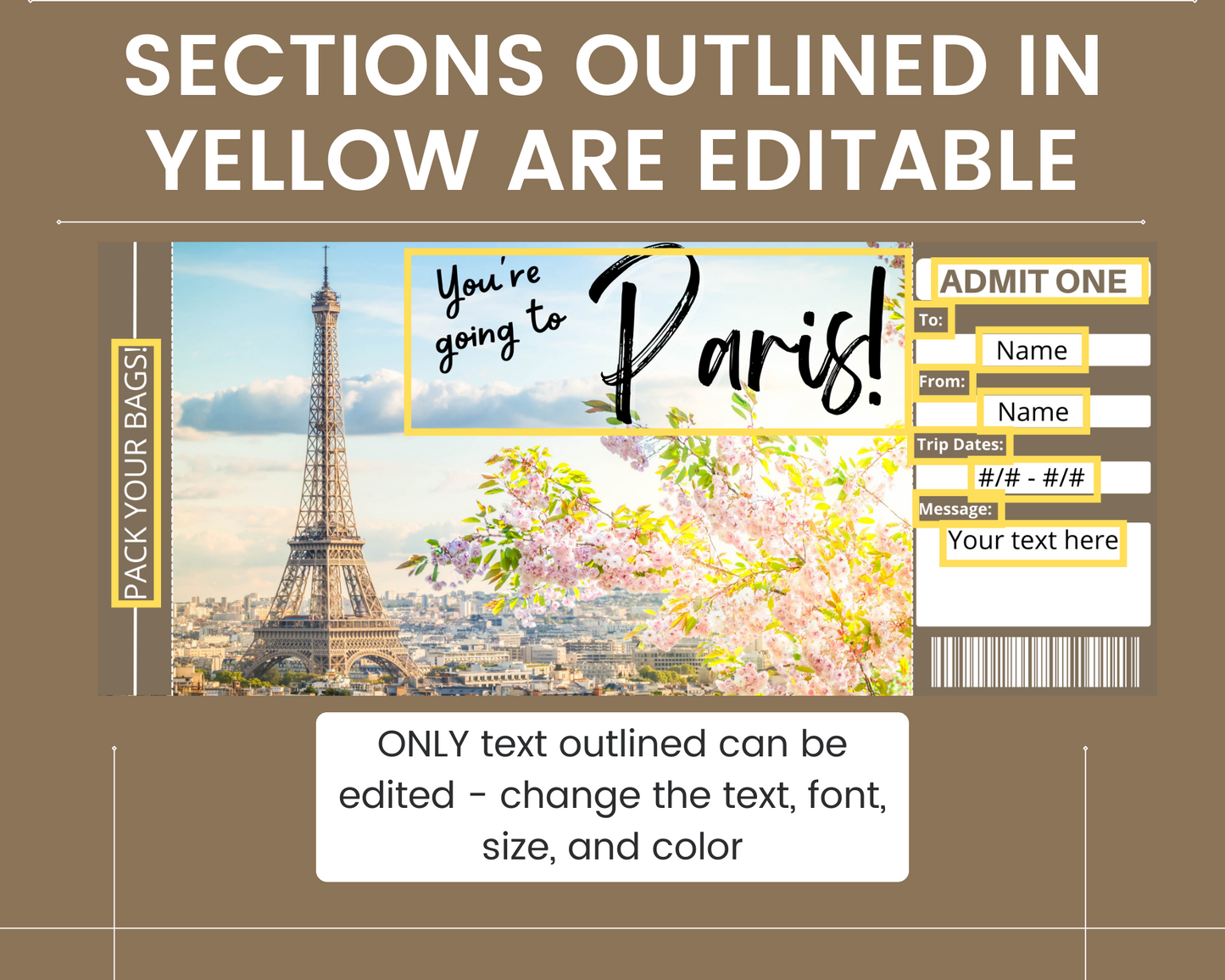 Paris Boarding Pass Template