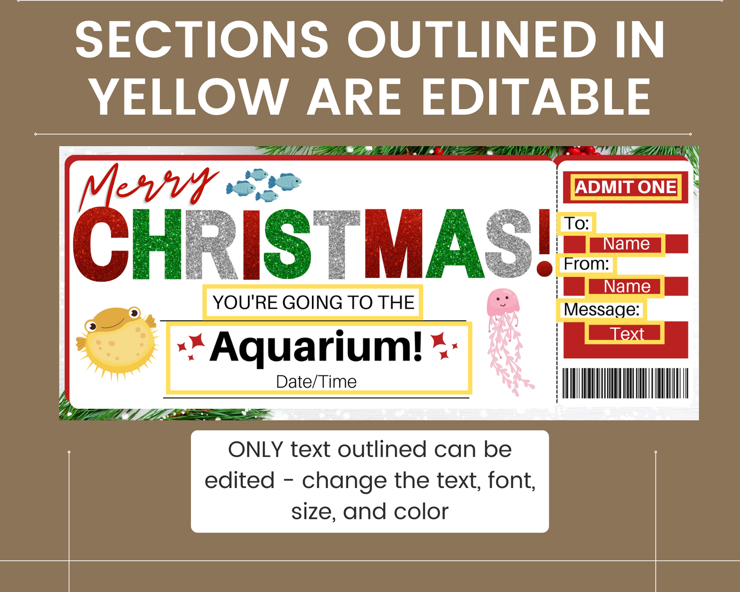 Christmas Aquarium Gift Ticket Template