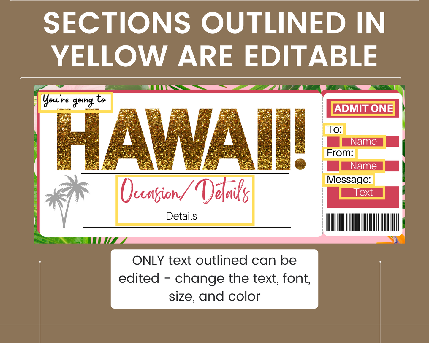 Surprise Hawaii Trip Boarding Pass Template