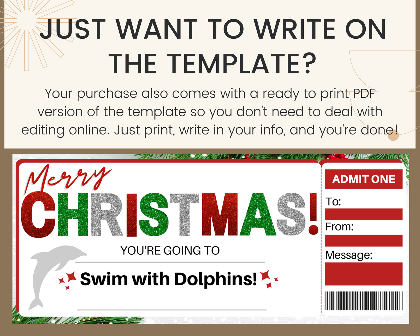 Christmas Swim with Dolphins Gift Certificate