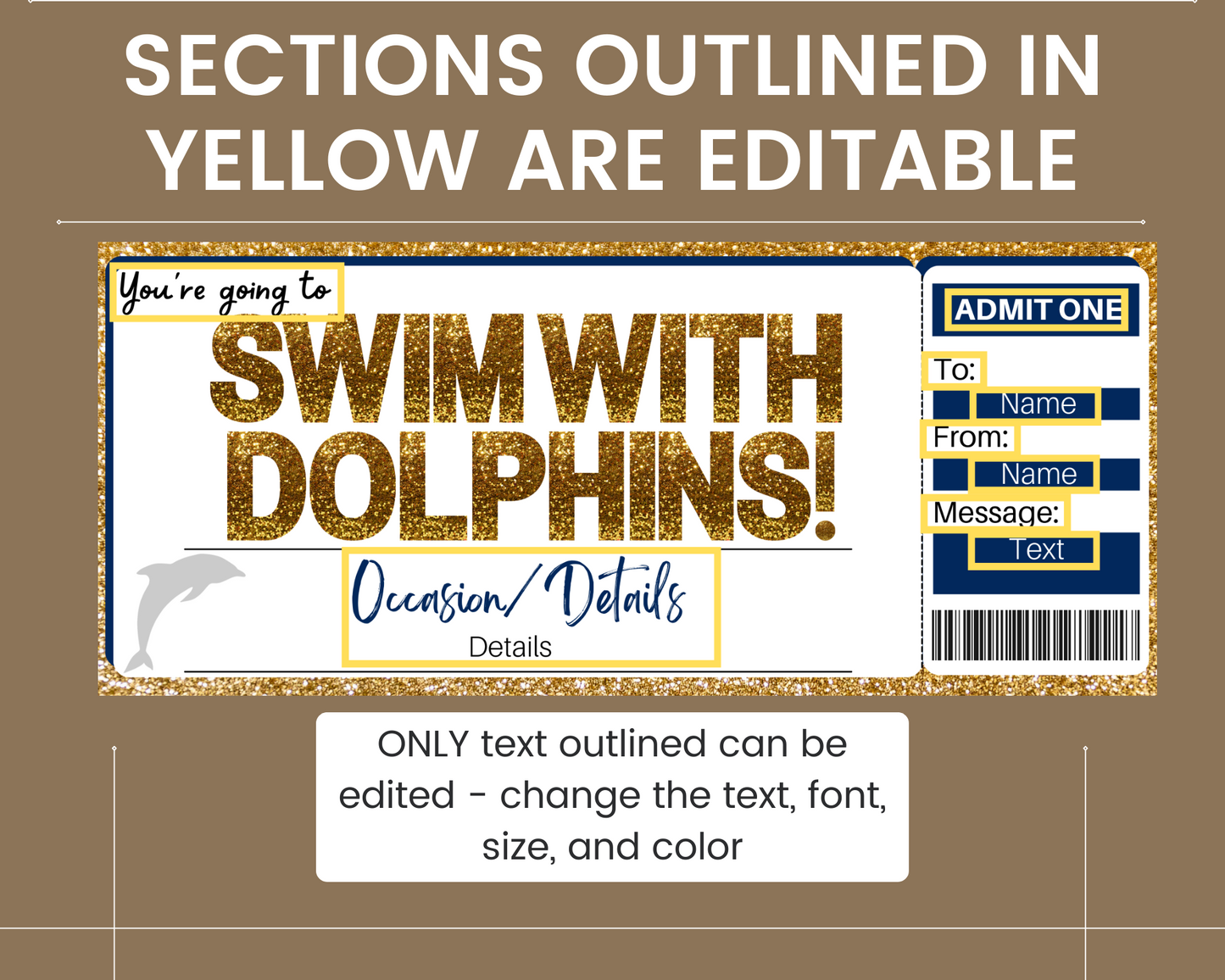 Swimming with Dolphins Gift Ticket Template