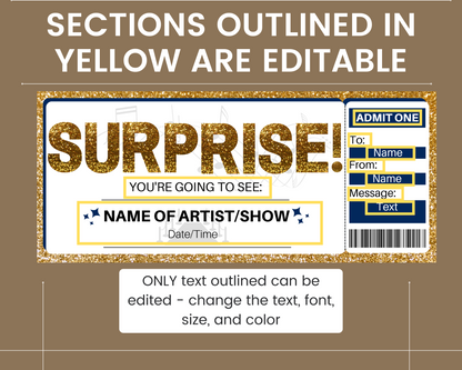 Surprise Concert Ticket Template