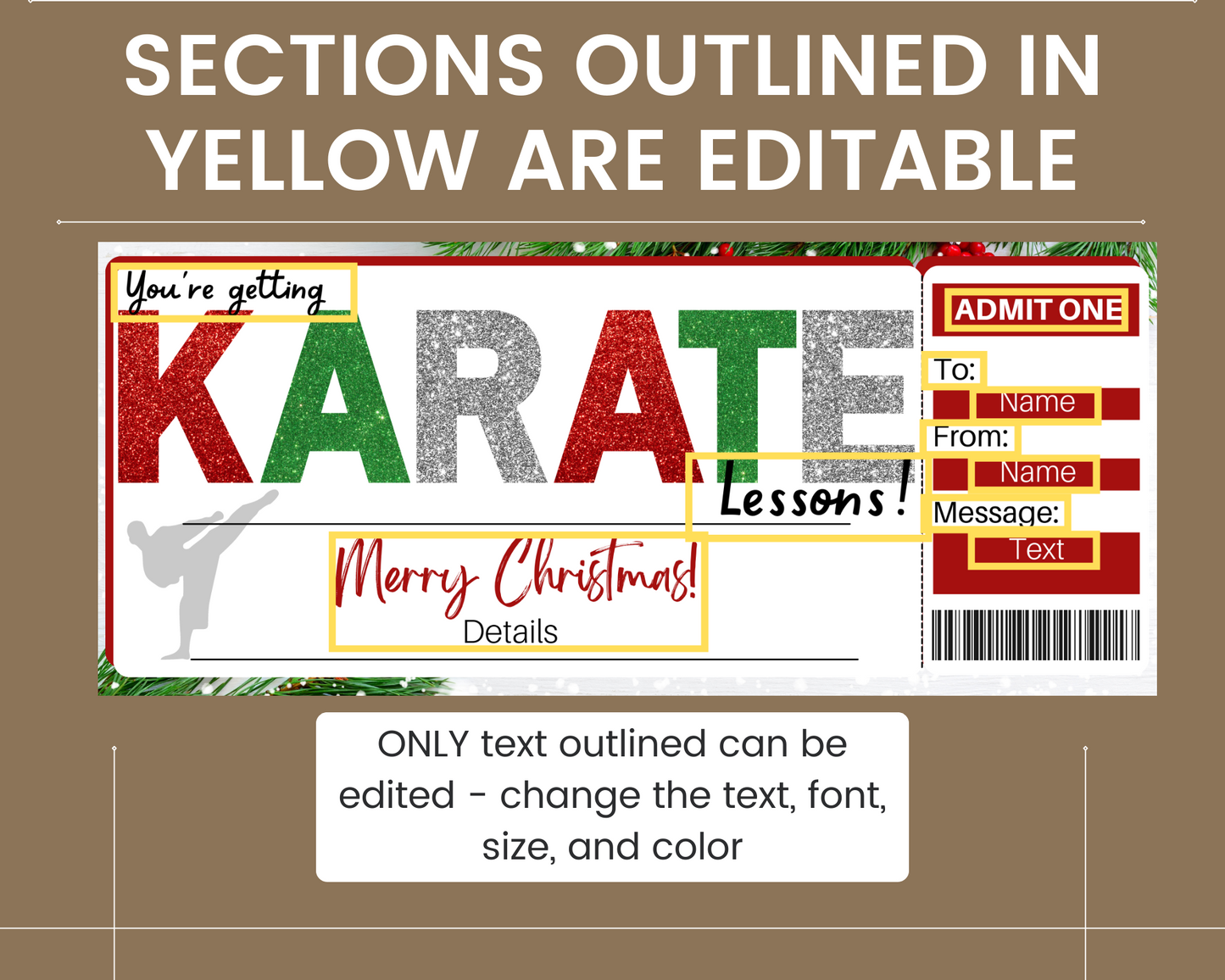 Christmas Karate Lessons Gift Ticket