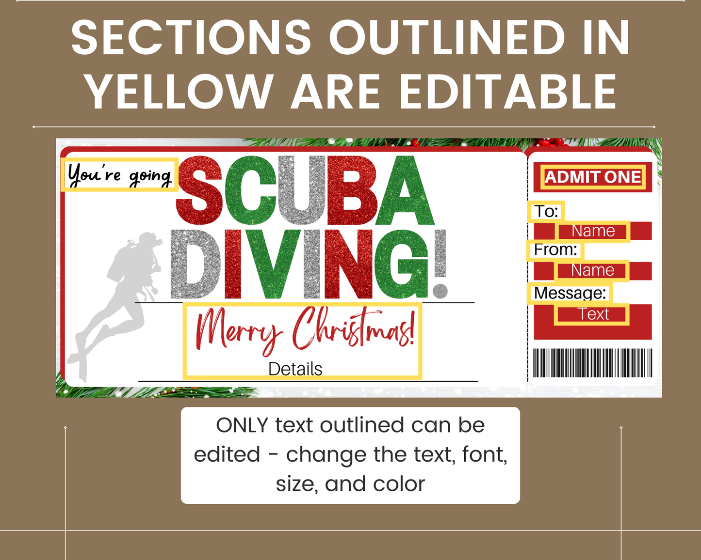 Christmas Scuba Diving Gift Ticket