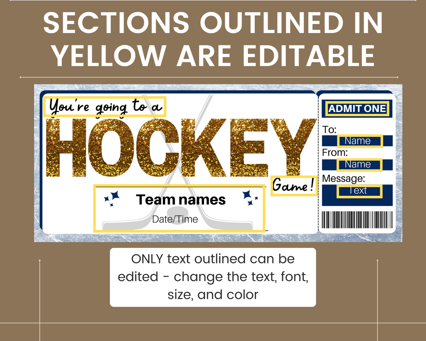 Hockey Game Ticket