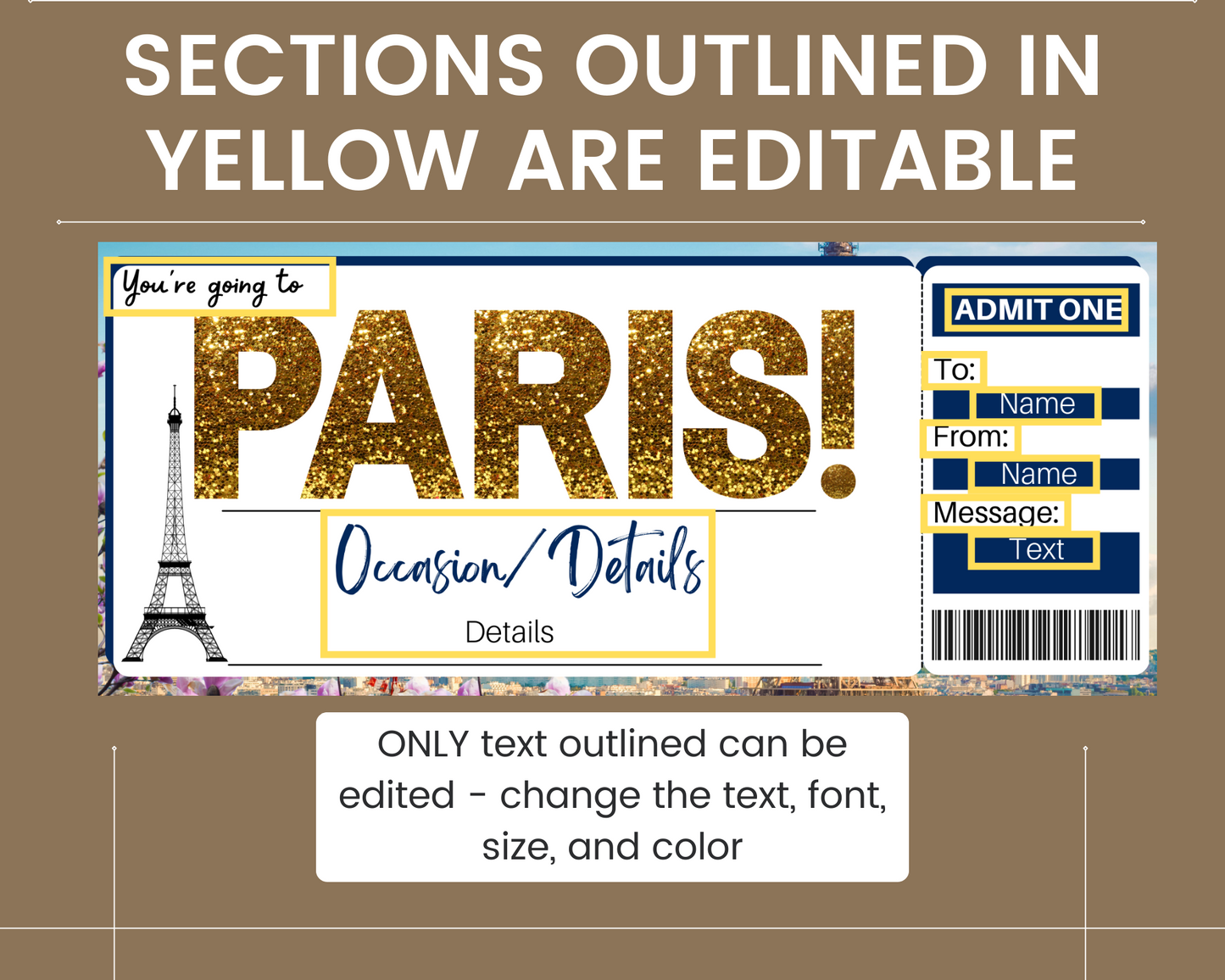 Paris Flight Ticket Template