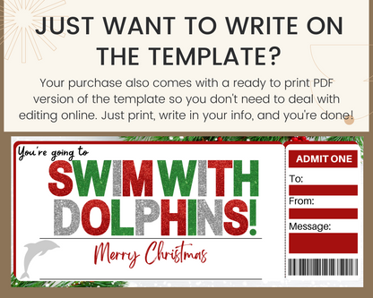 Christmas Swimming with Dolphins Gift Ticket