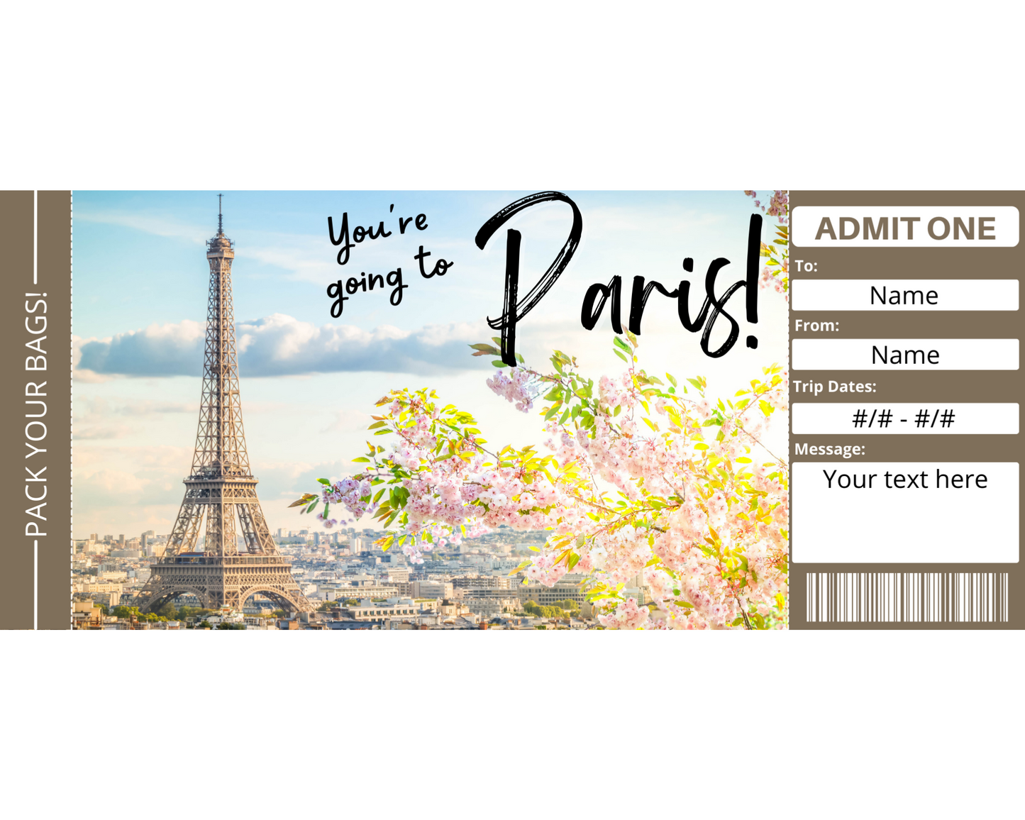 Paris Boarding Pass Template