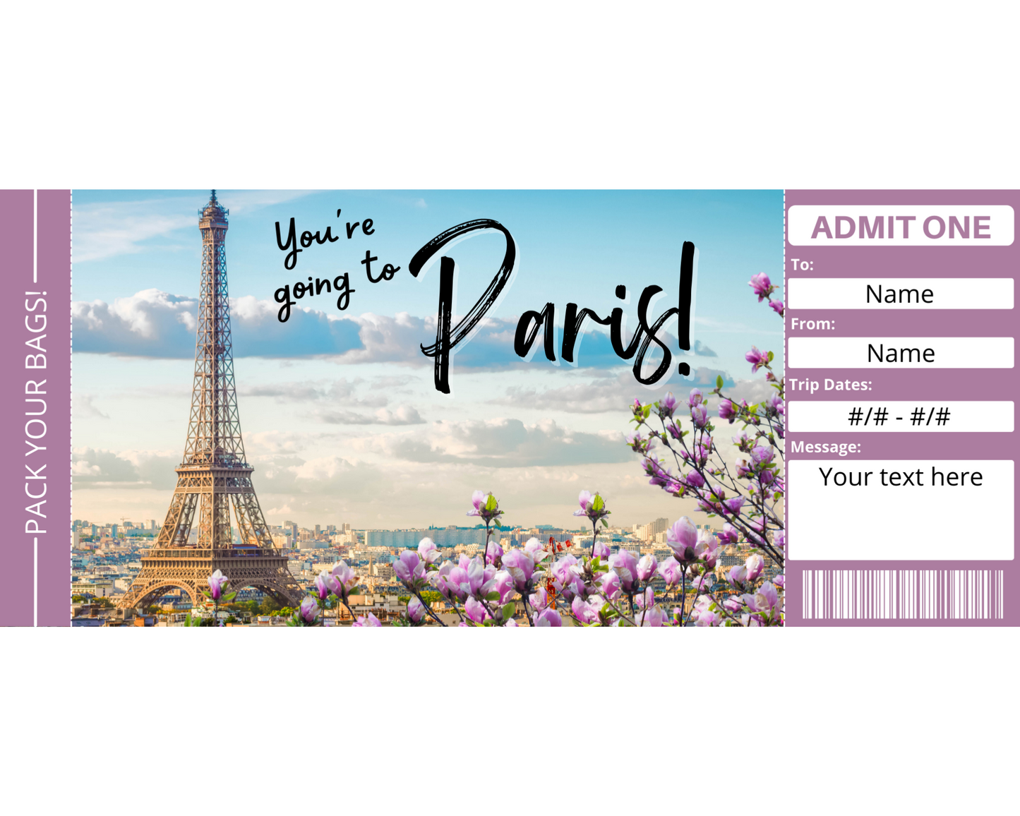 Paris Boarding Pass Template