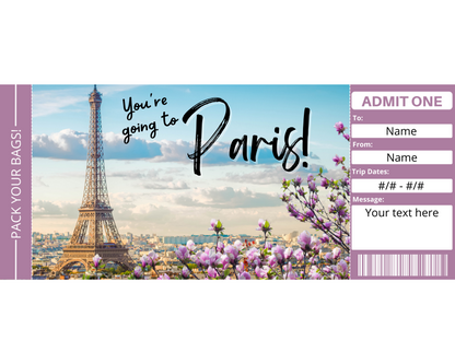 Paris Boarding Pass Template